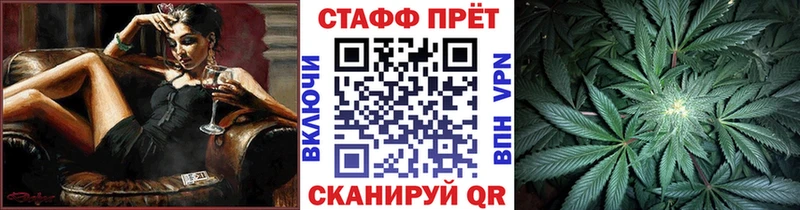 Как найти наркотики Шенкурск ГАШИШ  Кокаин  АМФЕТАМИН  A-PVP  Конопля  МЕФ 