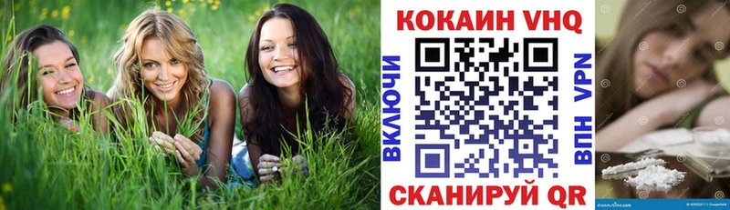 COCAIN 98%  где найти   Шенкурск 