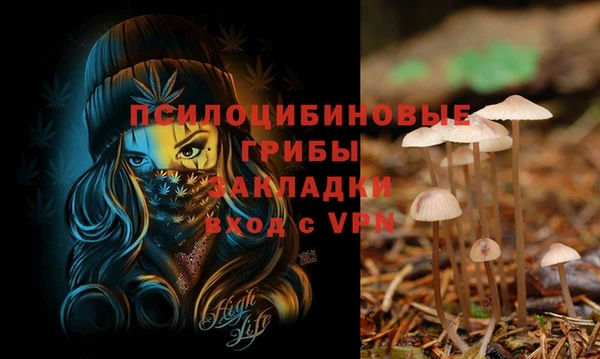 прущие крисы Новодвинск
