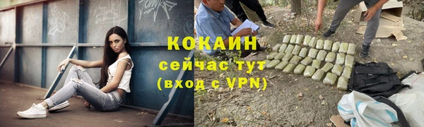 прущие крисы Новодвинск