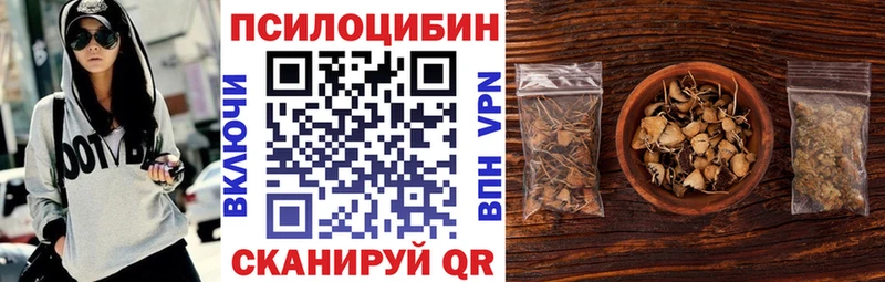 наркошоп  Шенкурск  Галлюциногенные грибы Psilocybe 